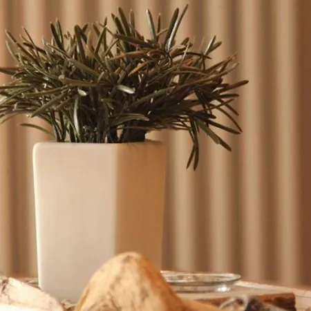 Apartment Exkl App Strandgut, Balkon, 300 M Zum